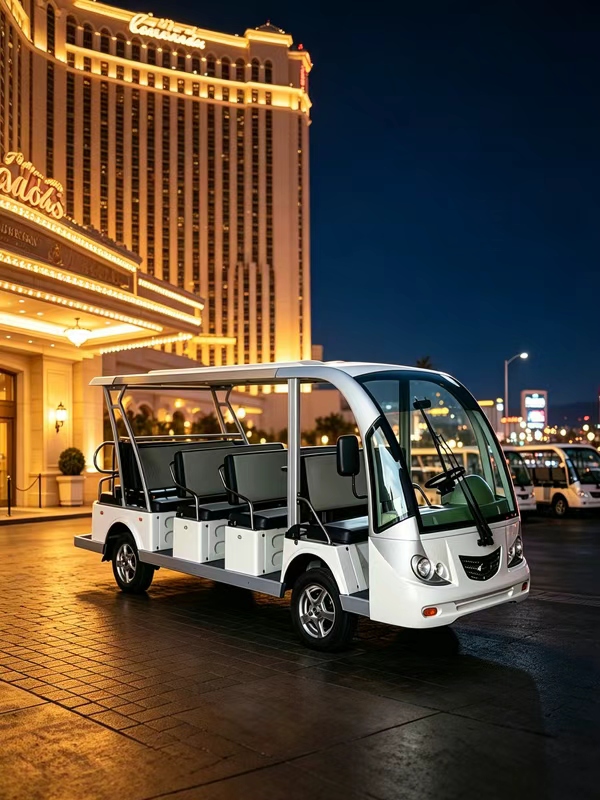 Las Vegas Hotel Fleet in the United States